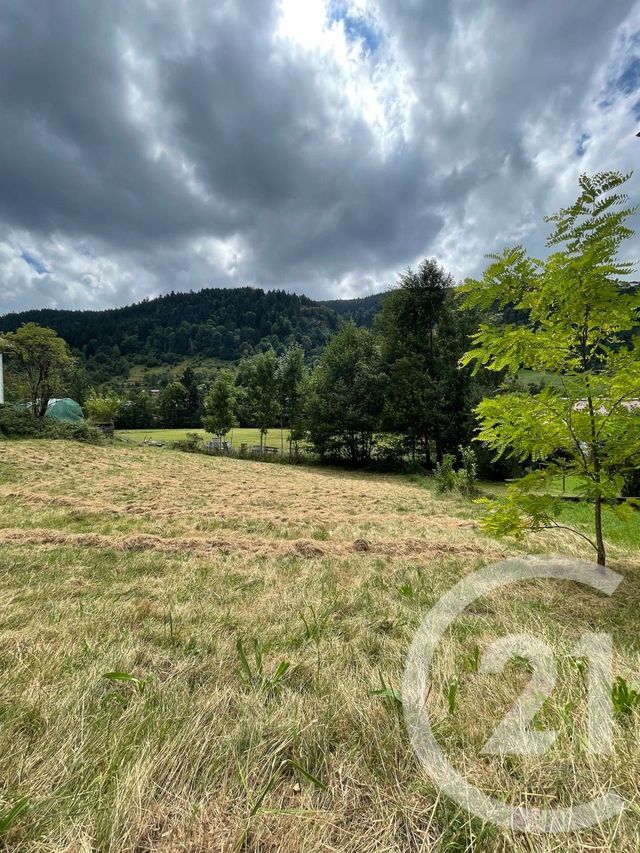 Terrain à vendre - 760 m2 - La Bresse - 88 - LORRAINE